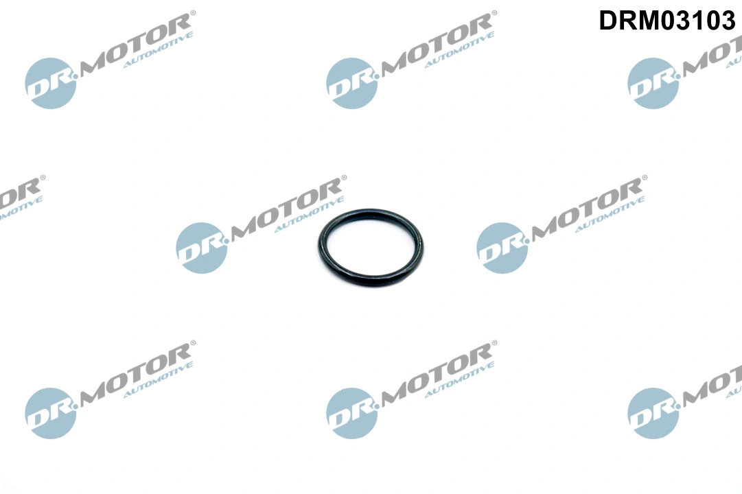 Gasket, thermostat housing